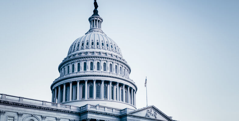 U.S. Capitol Building