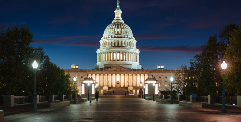 Government Shutdown