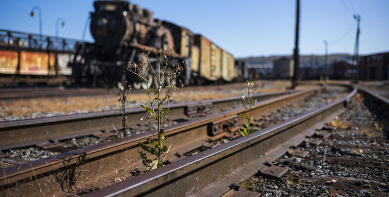 A train on the tracks