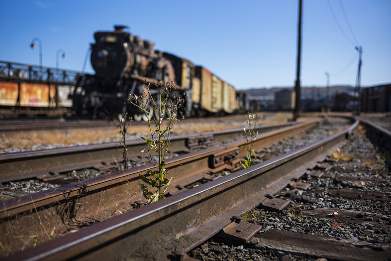 A train on the tracks